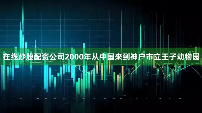 在线炒股配资公司2000年从中国来到神户市立王子动物园