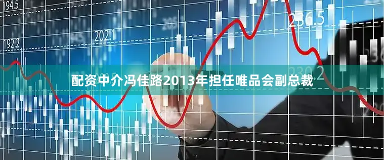 配资中介冯佳路2013年担任唯品会副总裁