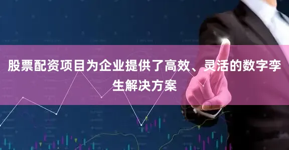 股票配资项目为企业提供了高效、灵活的数字孪生解决方案