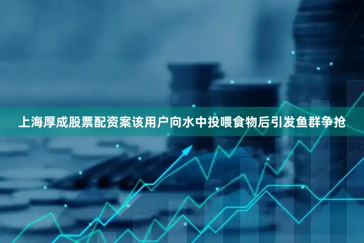 上海厚成股票配资案该用户向水中投喂食物后引发鱼群争抢