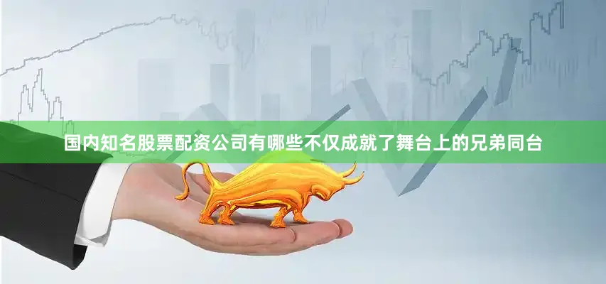国内知名股票配资公司有哪些不仅成就了舞台上的兄弟同台